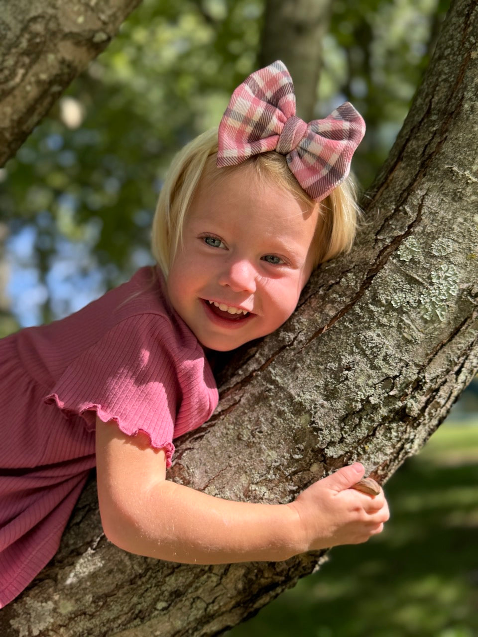 Plaid Bow | Chestnut & Berries