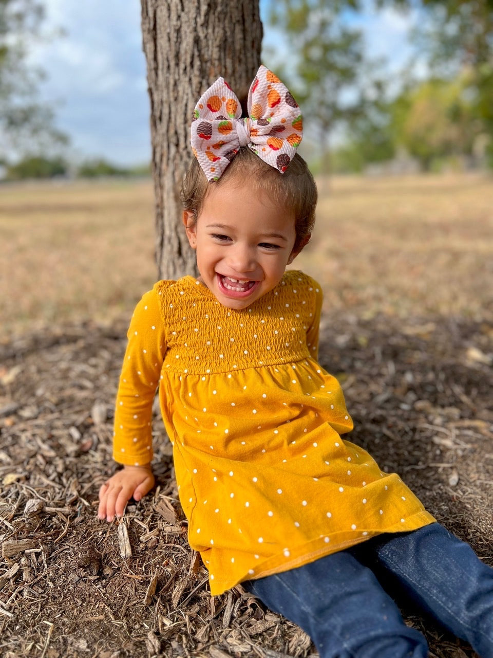 Fall Bow | Autumn Apples
