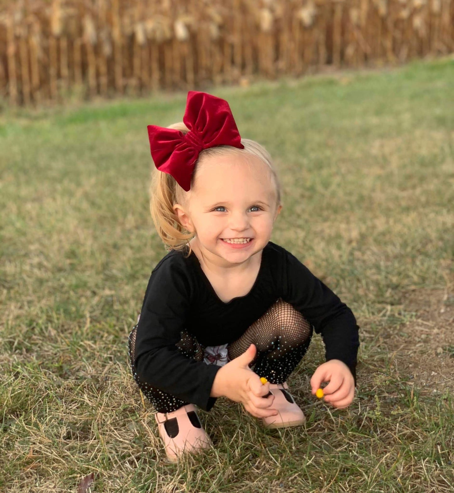 Velvet Bow | Cranberry