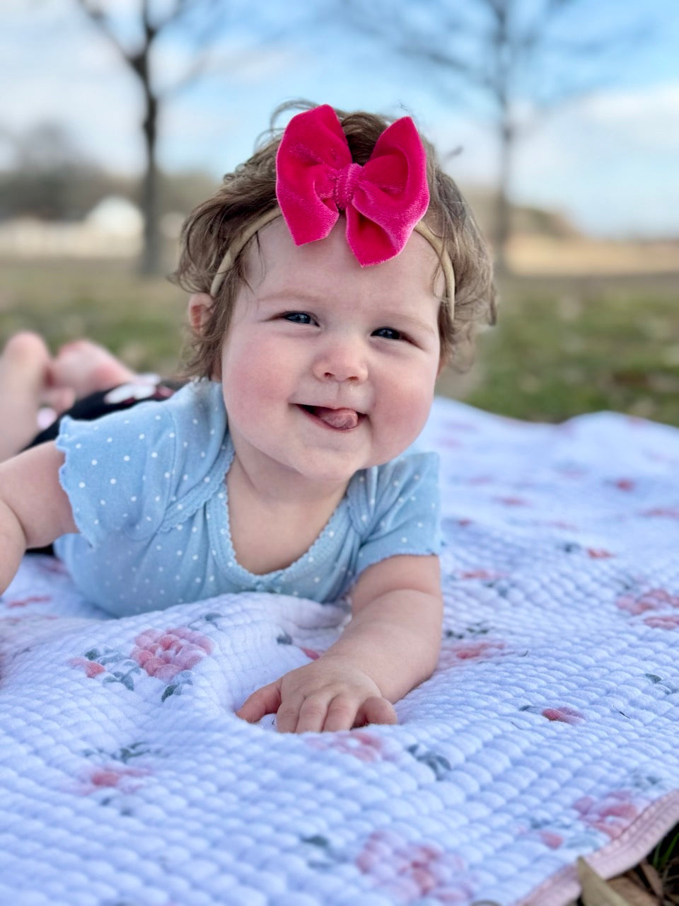 Velvet Bow | Wild Berry