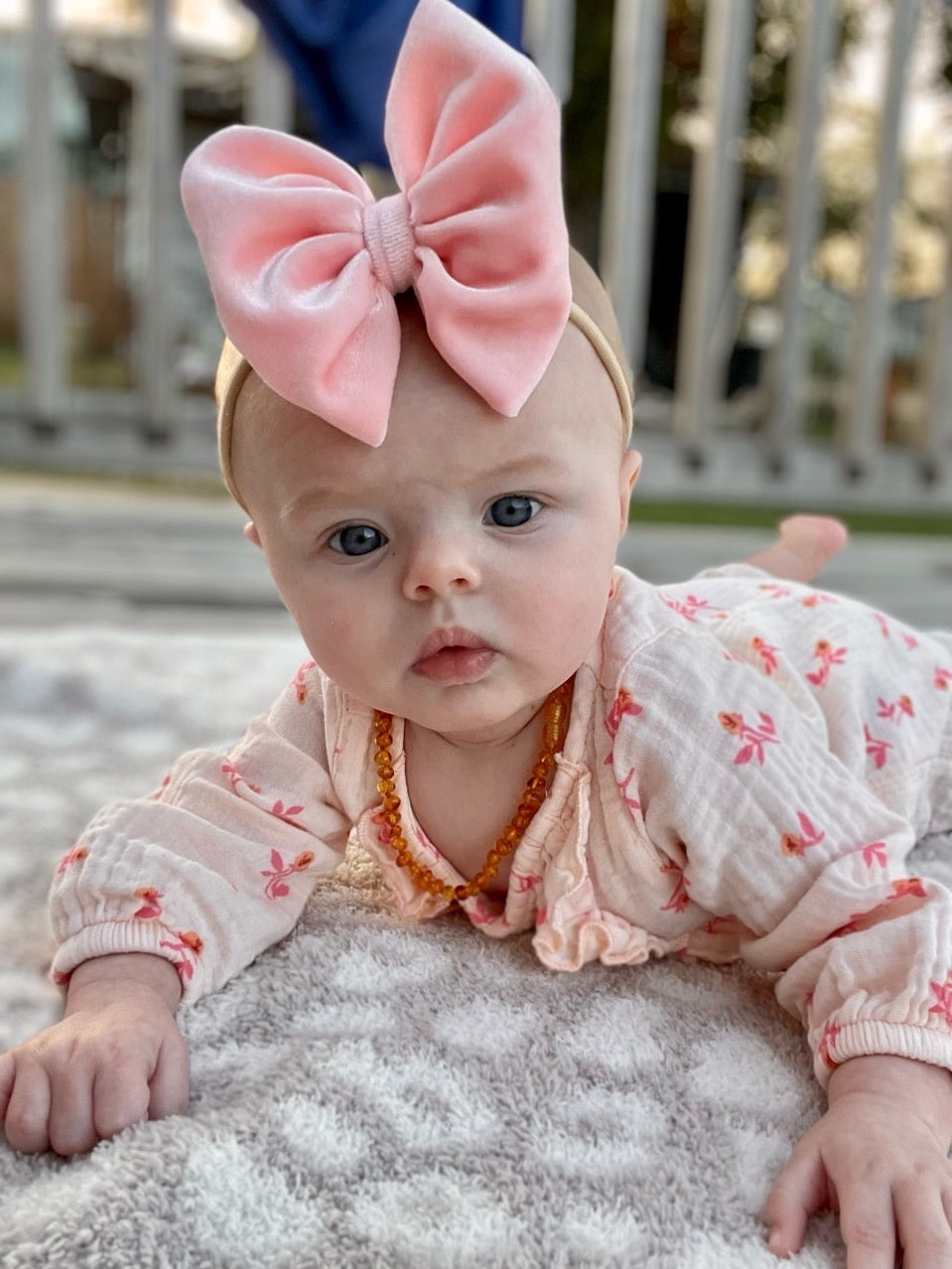 Velvet Bow | Rose