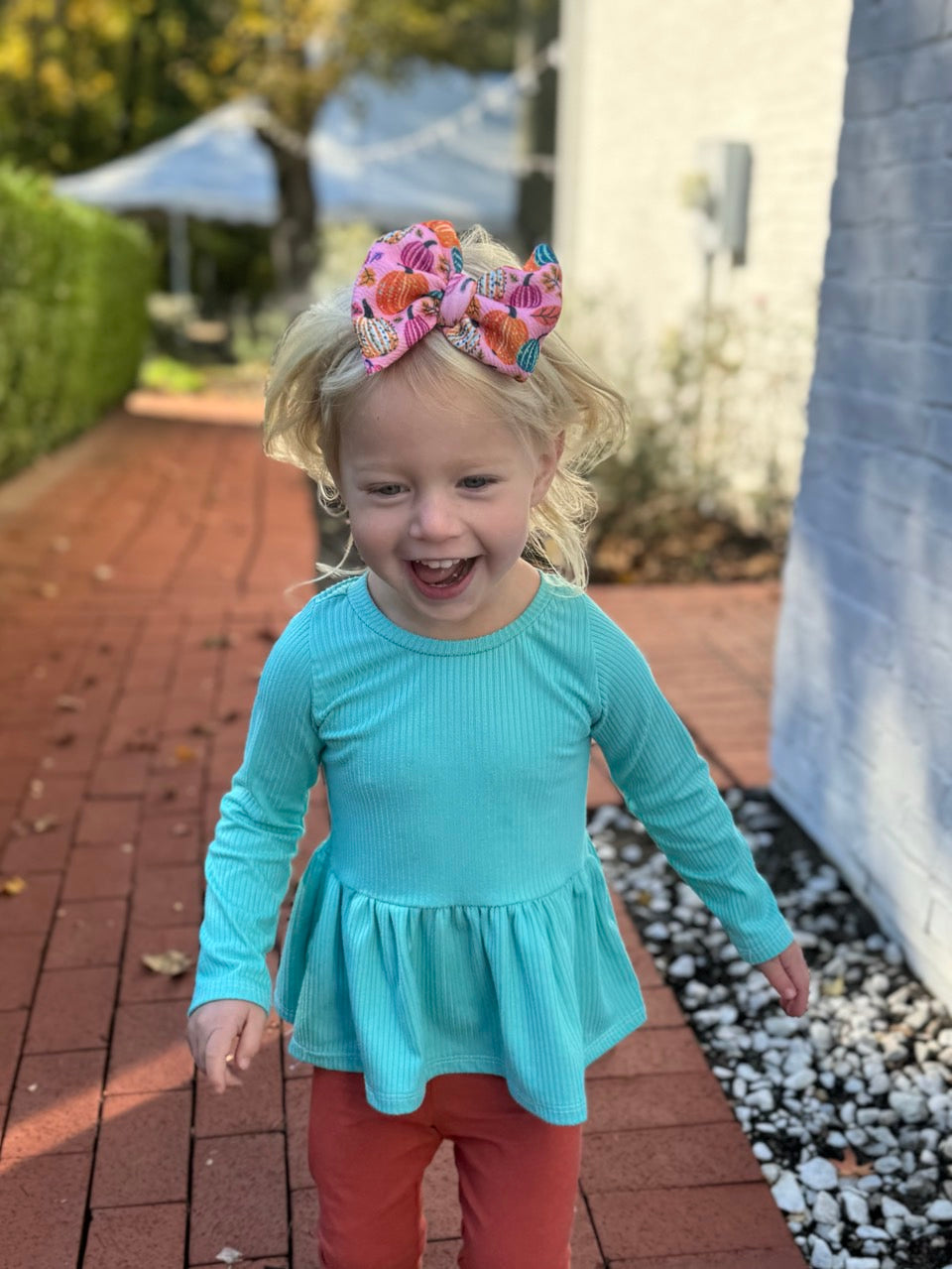 Fall Bow | Gourd-geous