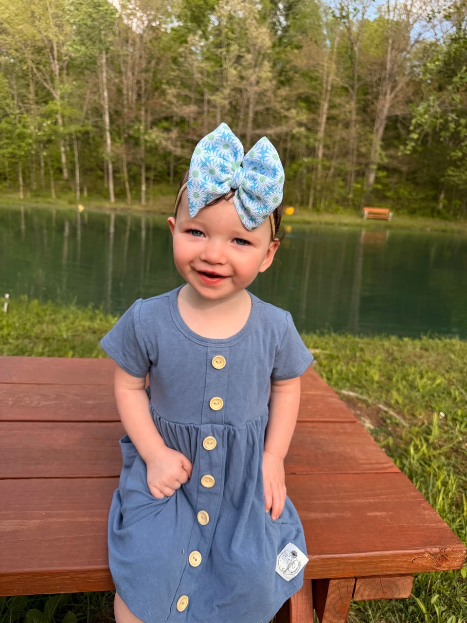Print Bow | Crazy Daisy Frosted