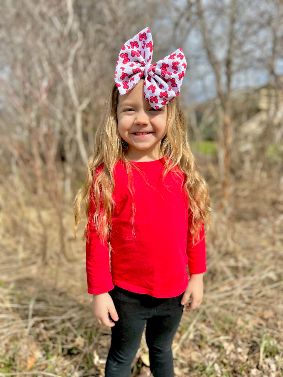 Character Bow | Mini Minnie