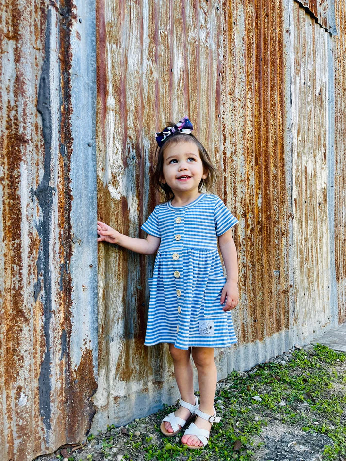 Ribbed Knit Button Dress | Blueberry Stripes