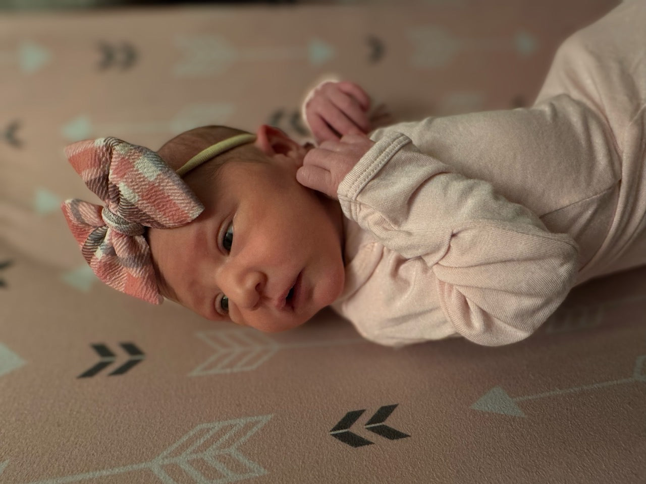 Plaid Bow | Chestnut & Berries