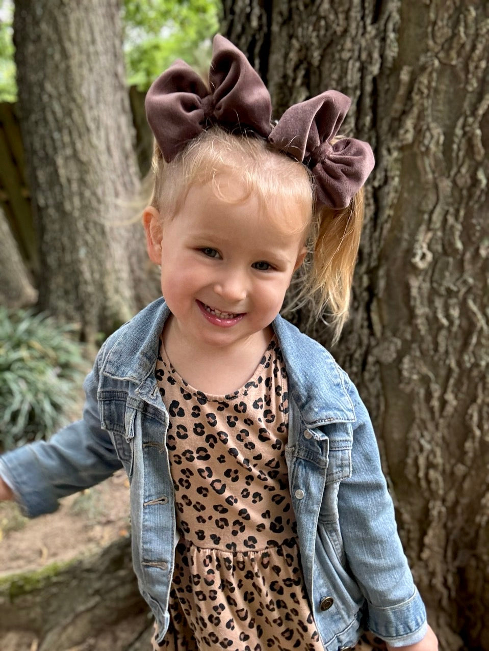 Velvet Bow | Walnut