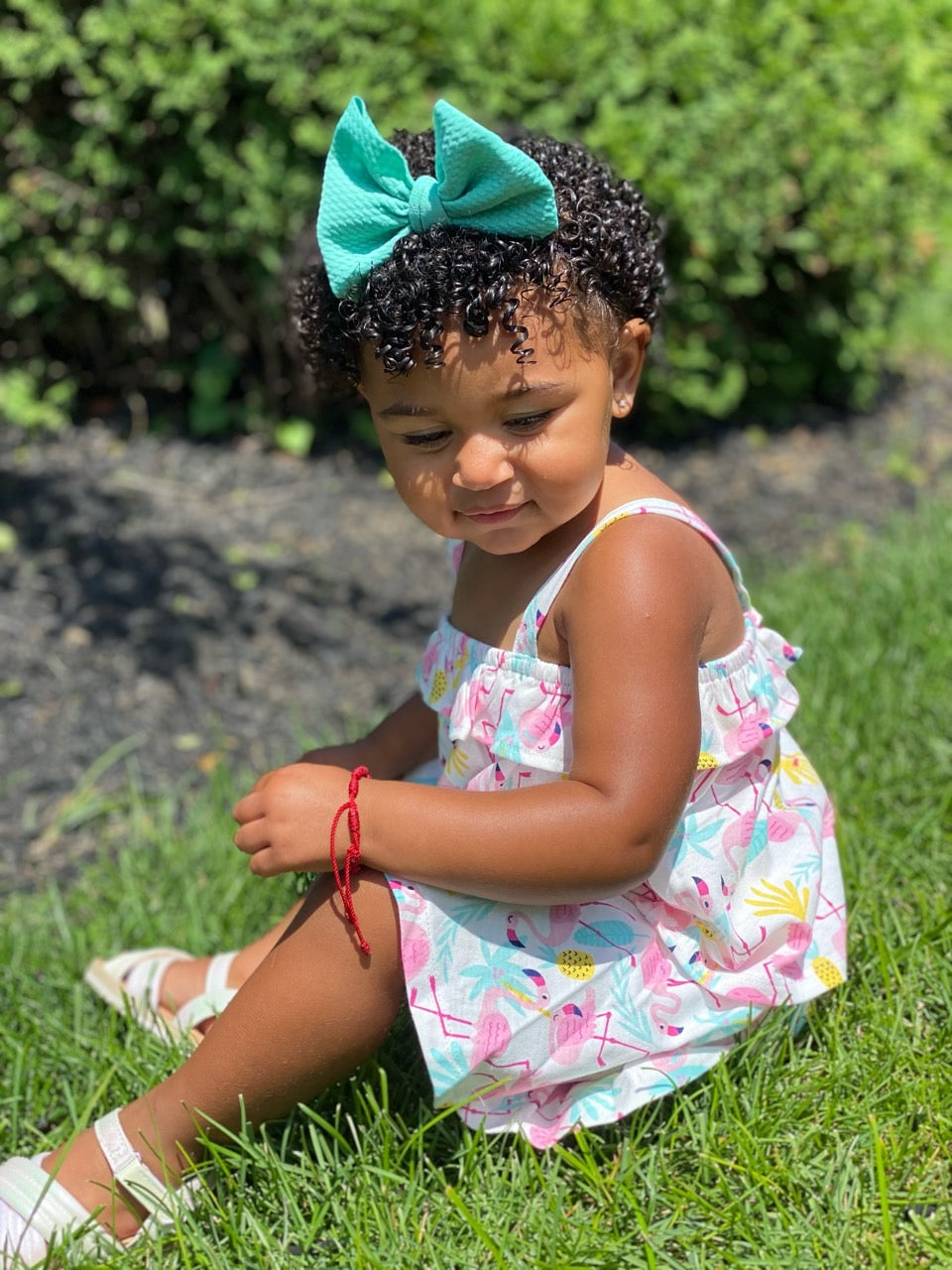 Solid Bow | Bahama
