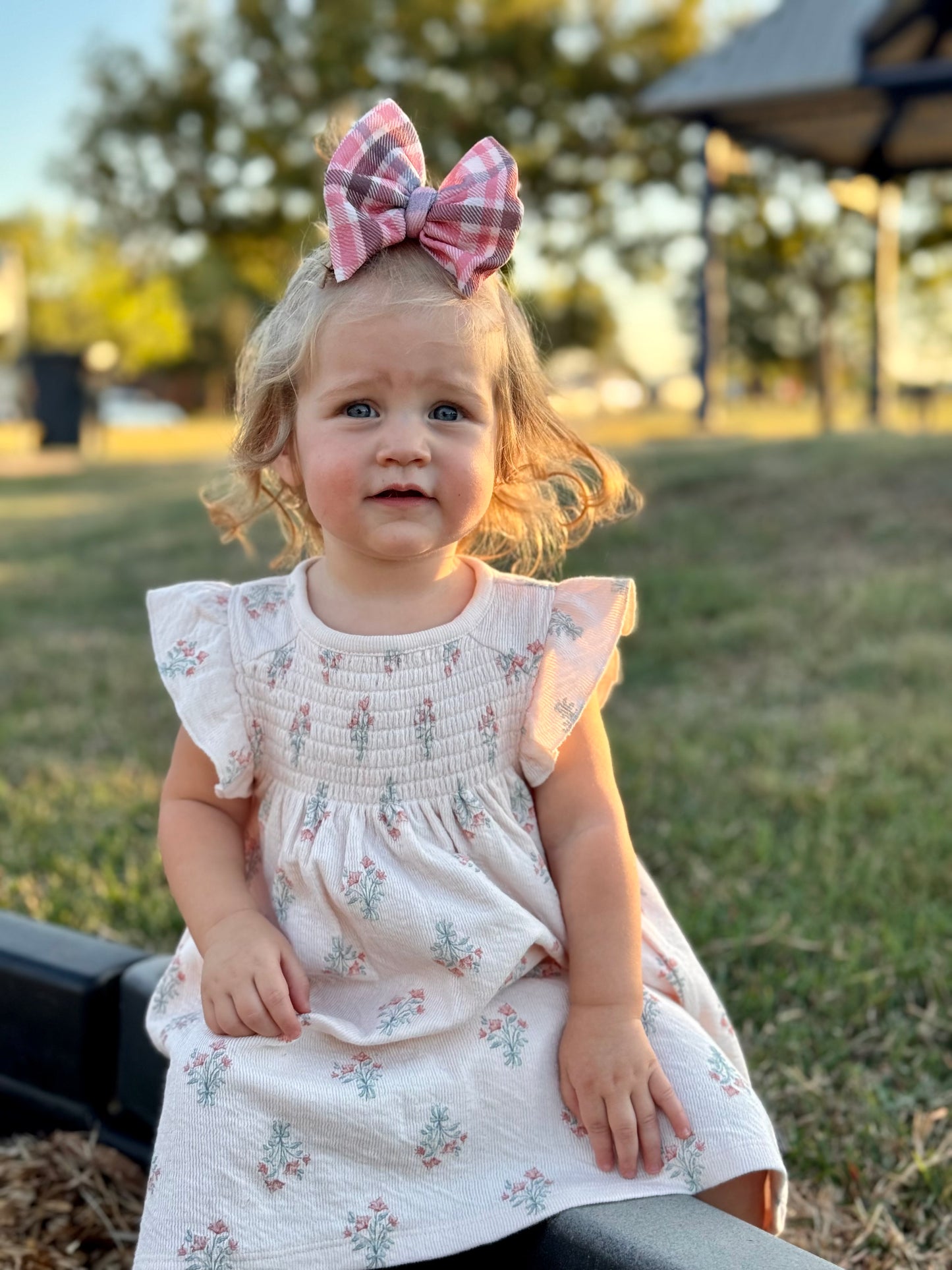 Plaid Bow | Chestnut & Berries