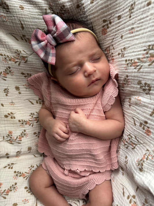 Plaid Bow | Chestnut & Berries