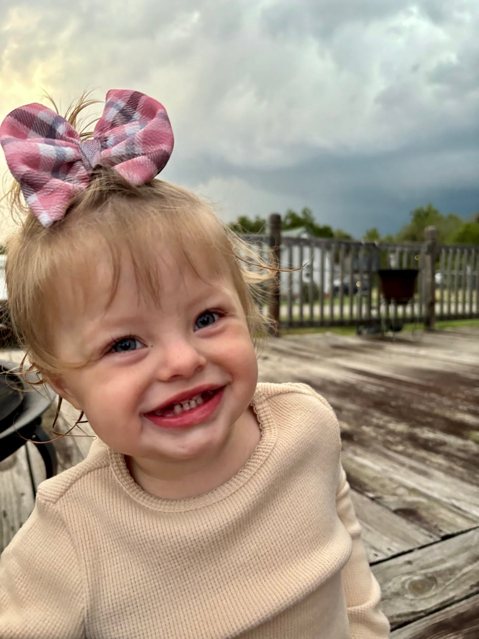 Plaid Bow | Chestnut & Berries