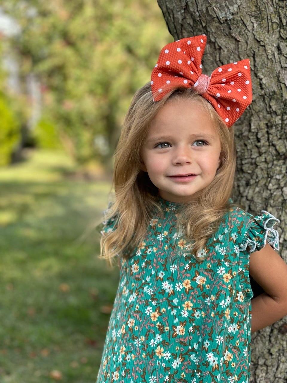 Spotted Bow | Cider