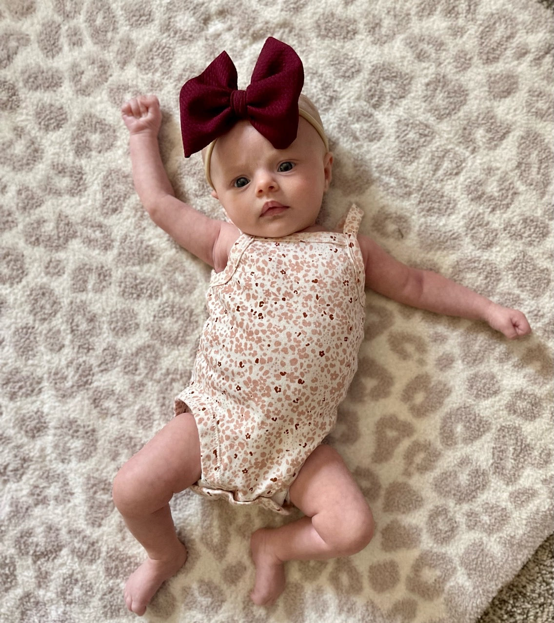 Solid Bow | Wine