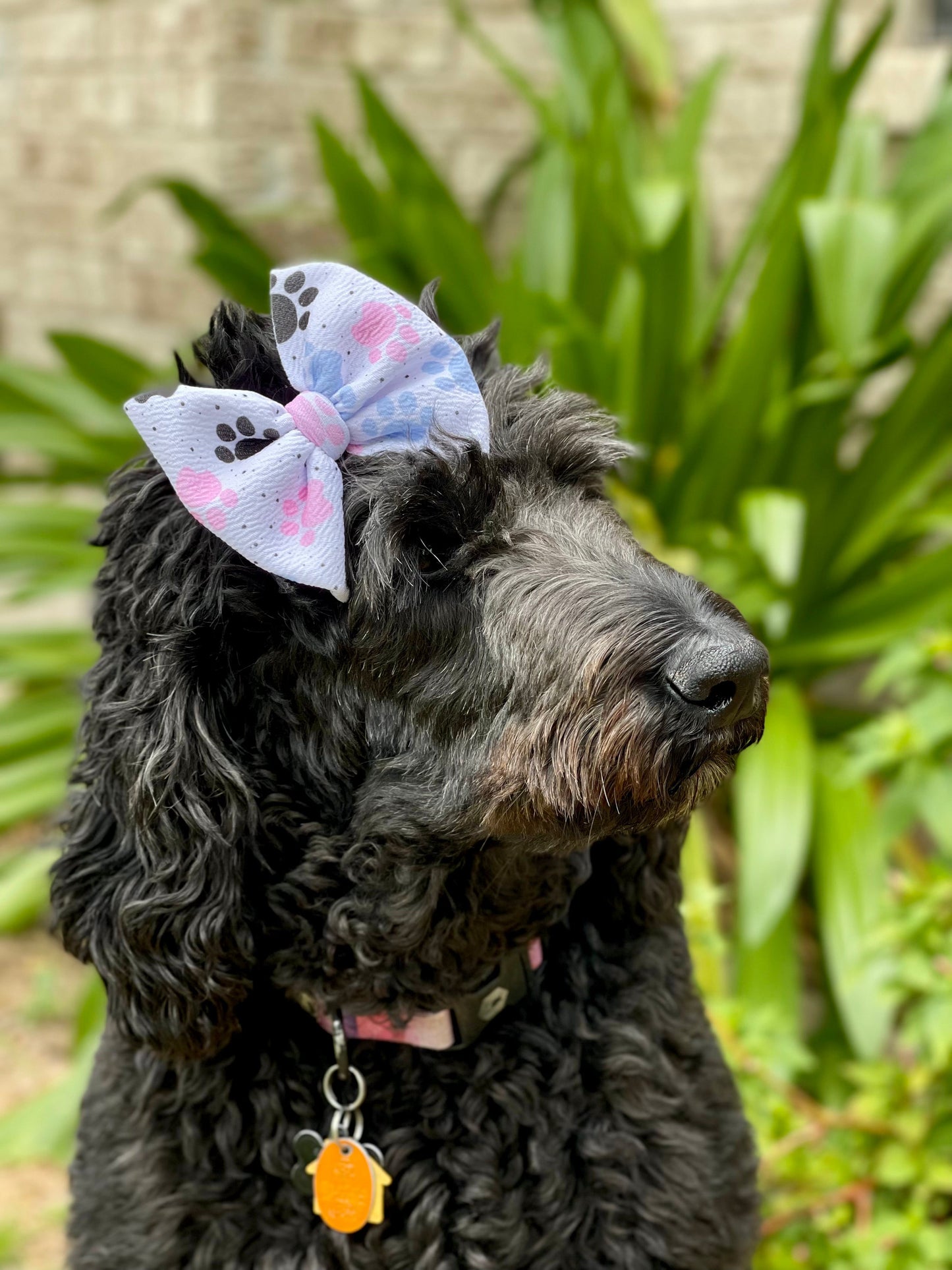 Print Bow | Puppy Love