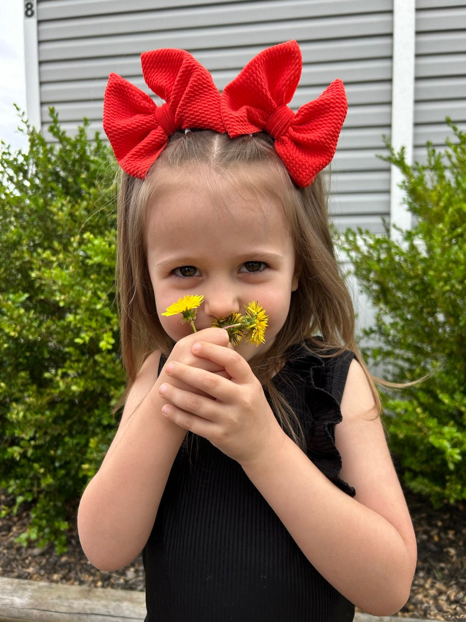 Solid Bow | Poppy